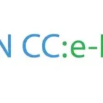 UN CC: e- Learn